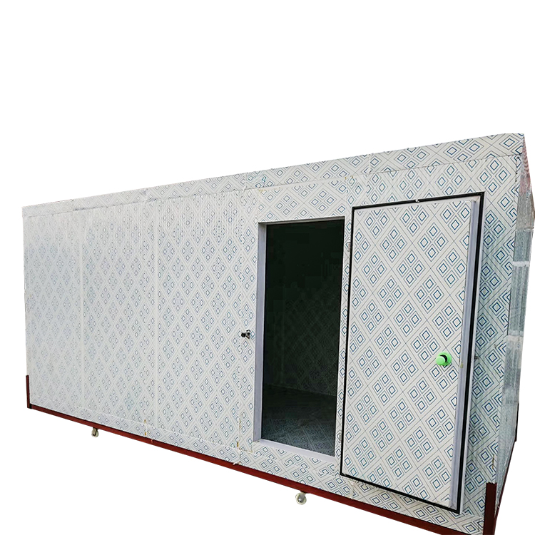 Seafood Frozen Meat Freezer Low Temperature Mobile Freezer